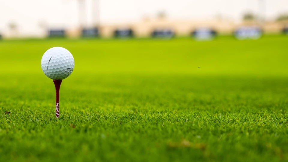 Профессия «Профессия гринкипер»